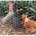 Bird net 1.2m Chicken Mesh Net